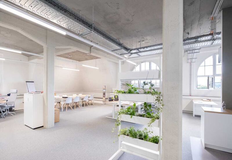 In weiß eingerichtetes Büro mit Pflanzen im Industriestyle